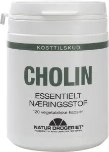 Cholin er vigtigt for fedtstofoptagelsen