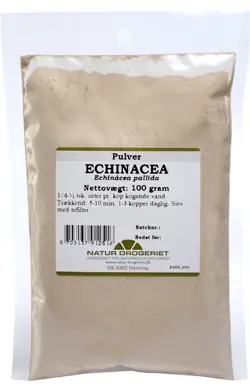 Echinacea hjælper, når forkølelsen banker på døren