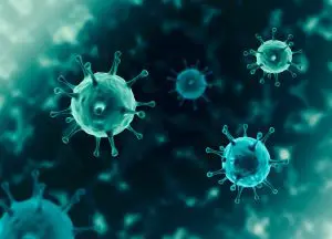 Virus – den usynlige dræber