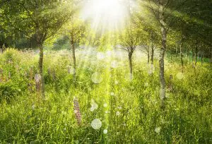 Tag trappen og sænk dit kolesteroltal