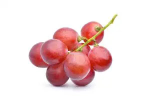 Skallen på røde druer indeholder resveratrol