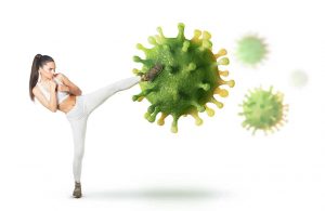Astragalus til dit immunforsvar