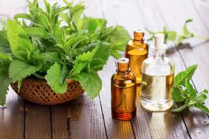 Skal olien være varmpresset eller koldpresset?