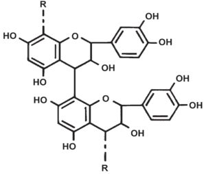 Den kemiske sammensætning af to molekyler af proanthocyanidiner