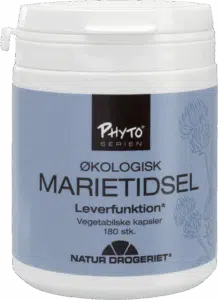 Marietidsel kan være med til at beskytte mod leverkræft